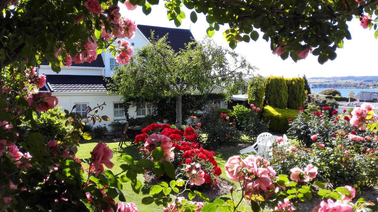 Phoenix Thermal Resort - Taupo Kültér fotó