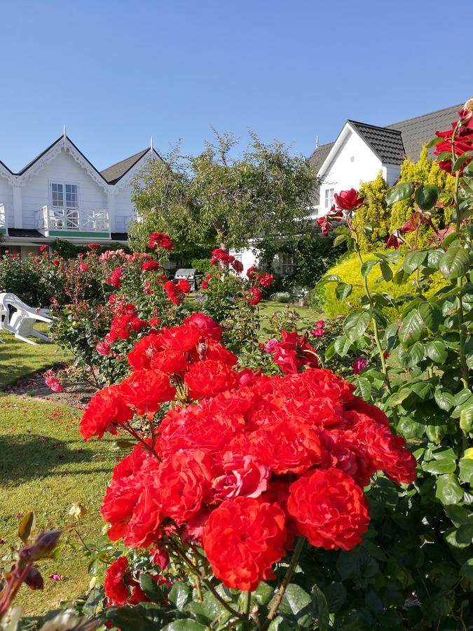 Phoenix Thermal Resort - Taupo Kültér fotó