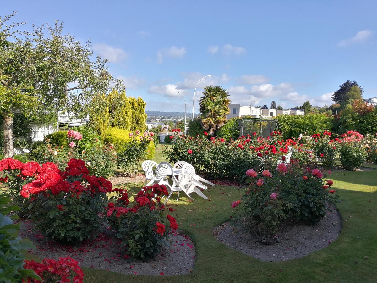 Phoenix Thermal Resort - Taupo Kültér fotó