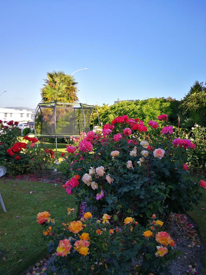 Phoenix Thermal Resort - Taupo Kültér fotó