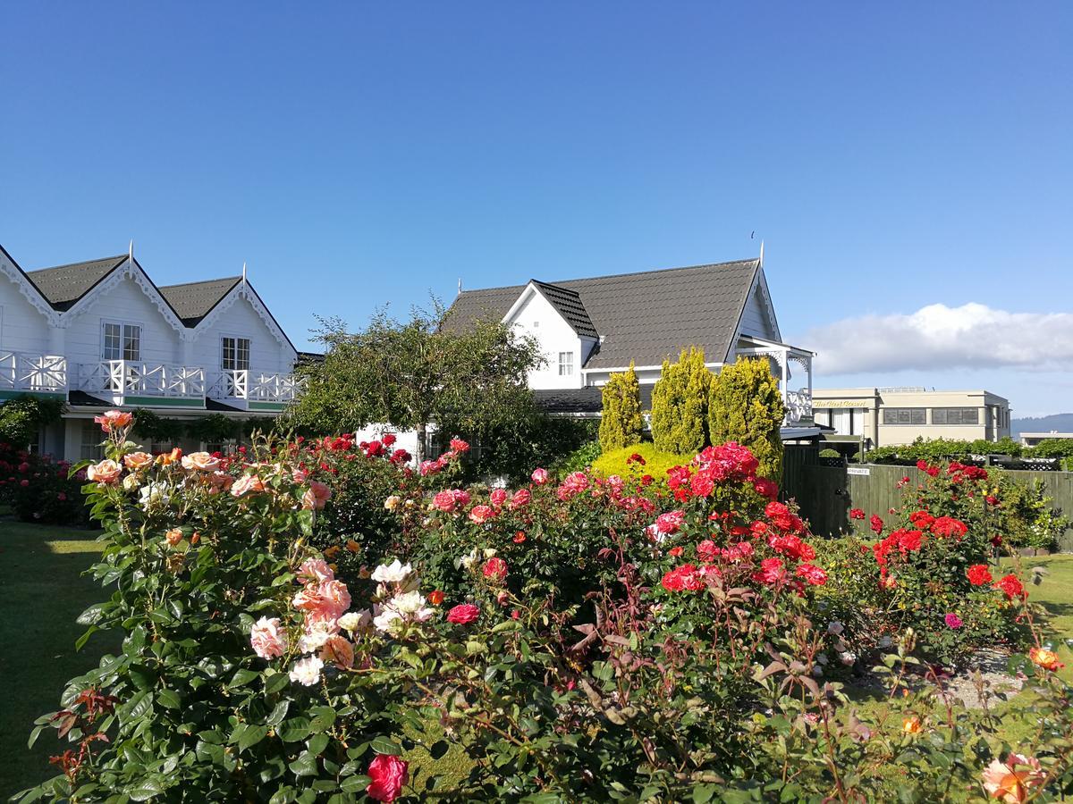 Phoenix Thermal Resort - Taupo Kültér fotó